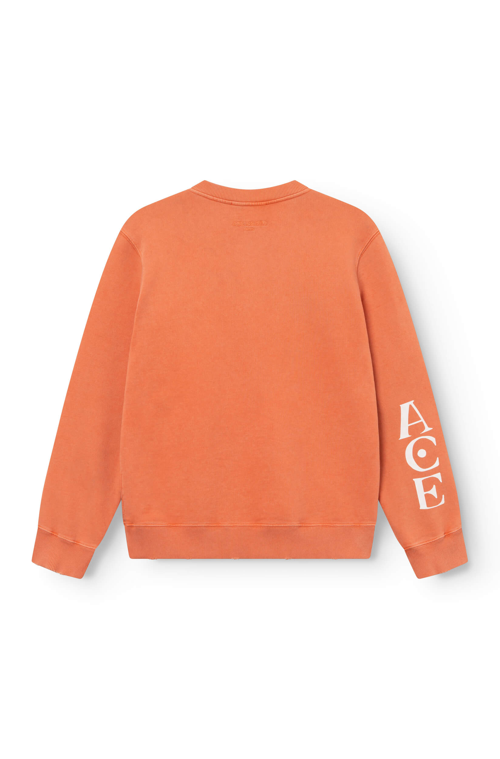 Rear view of the off-white cotton sweatshirt, hand-dyed and printed with a tiger, ace Paris